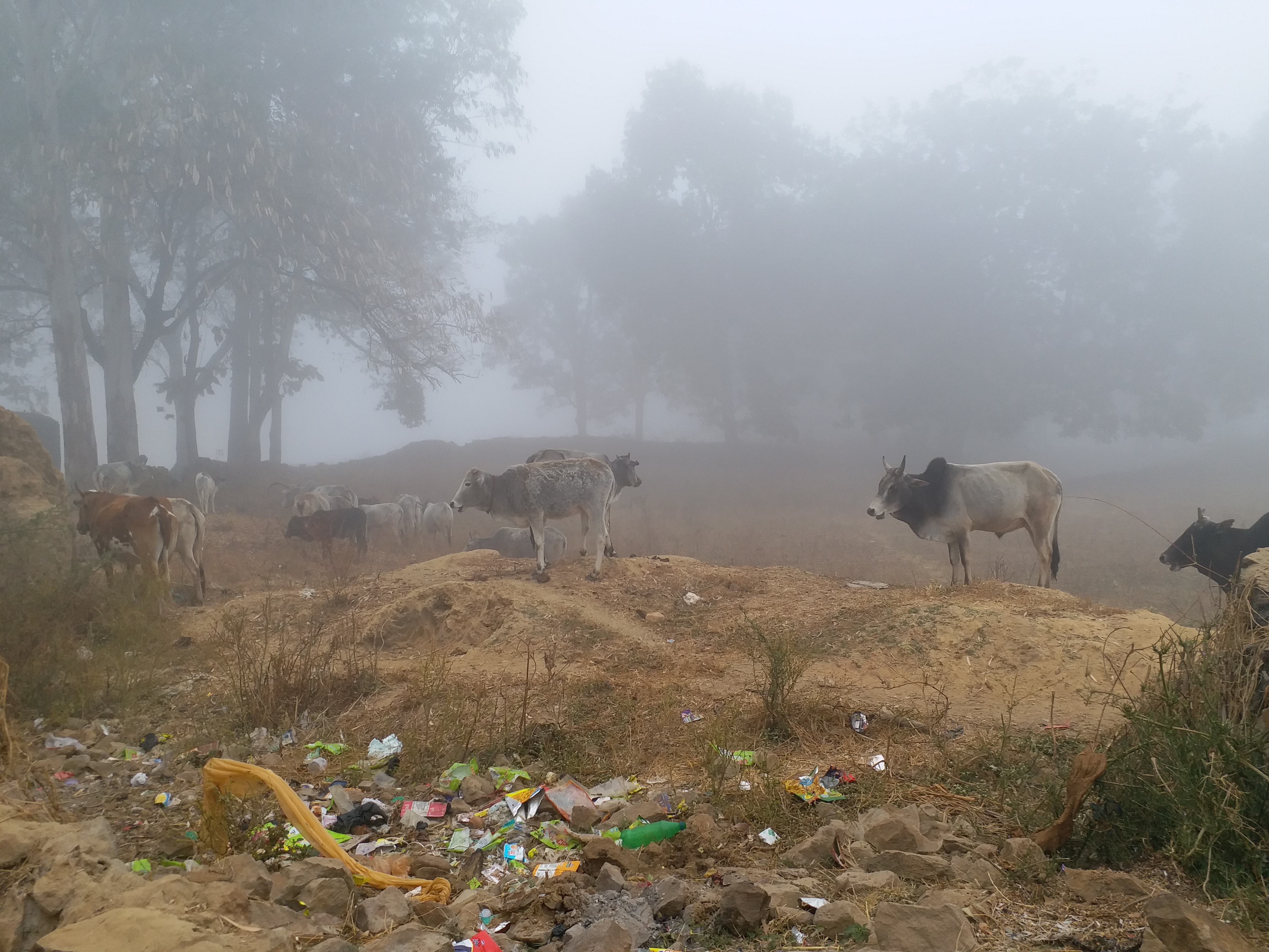 weather changed in shahdol