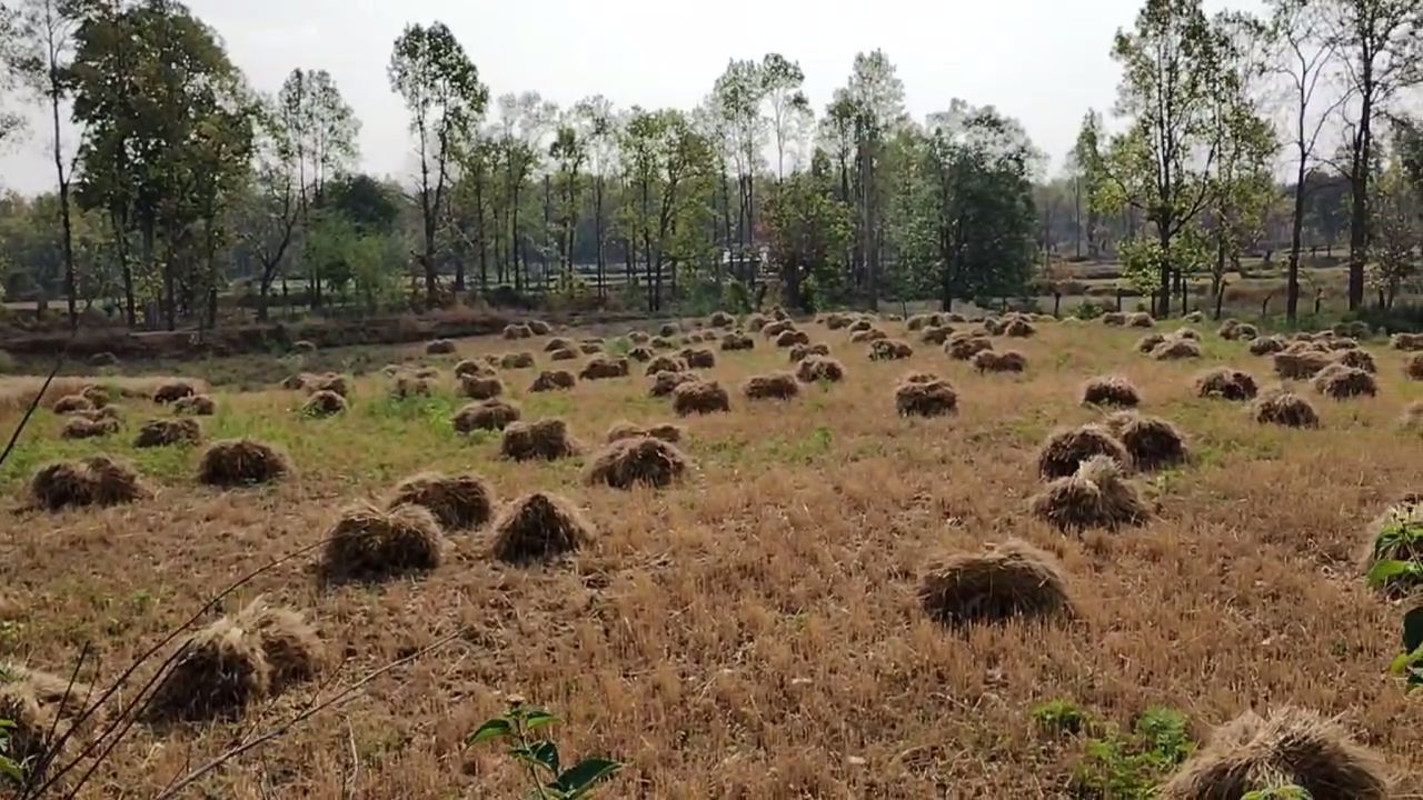 shahdol weather changes frequently