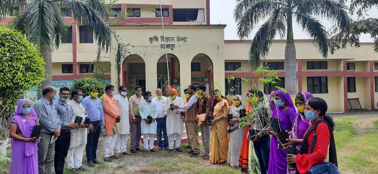 Plantation on the occasion of the birthday of Prime Minister Narendra Modi