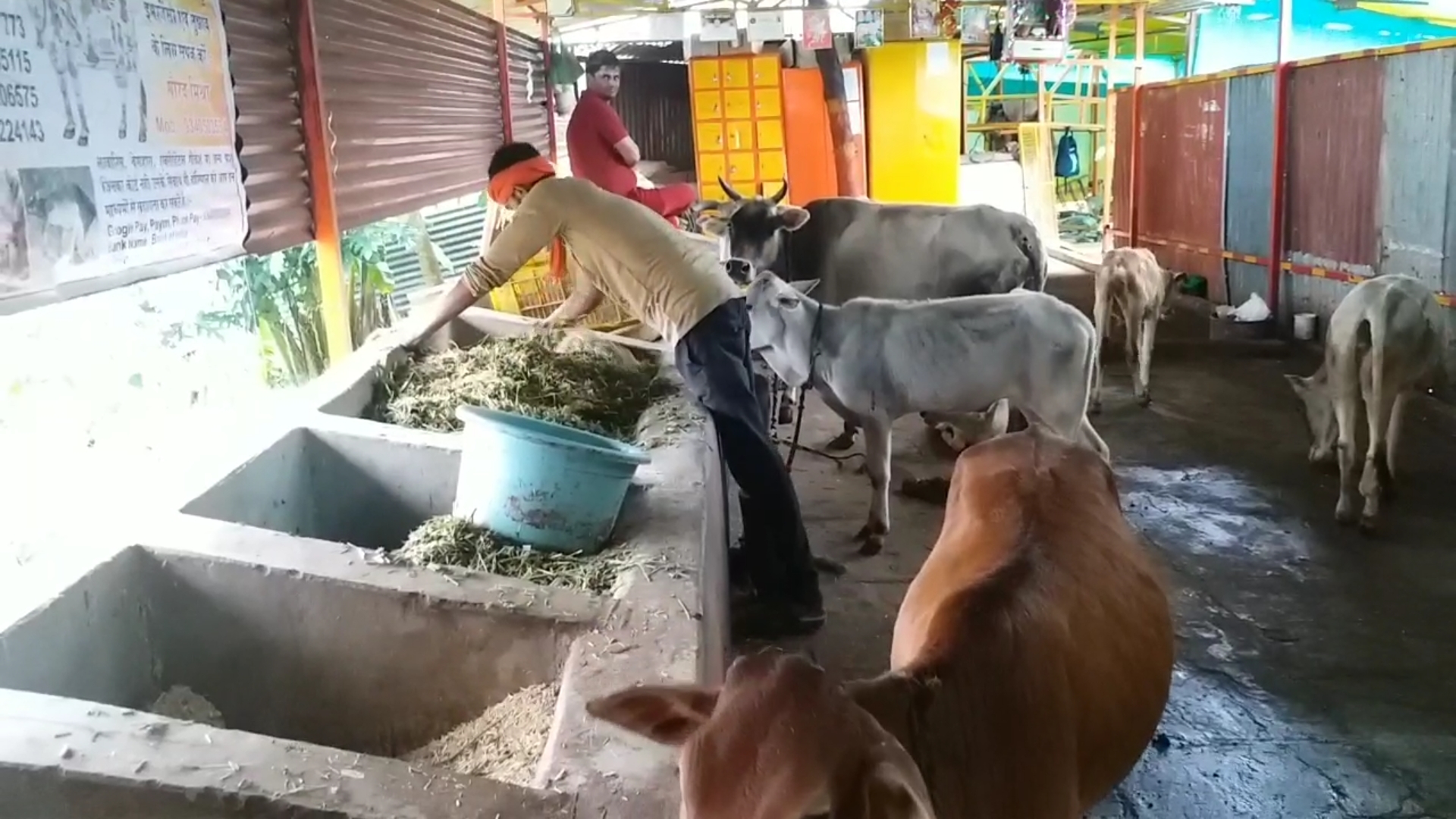 Atal Kamdhenu Gau Sewa Sansthan