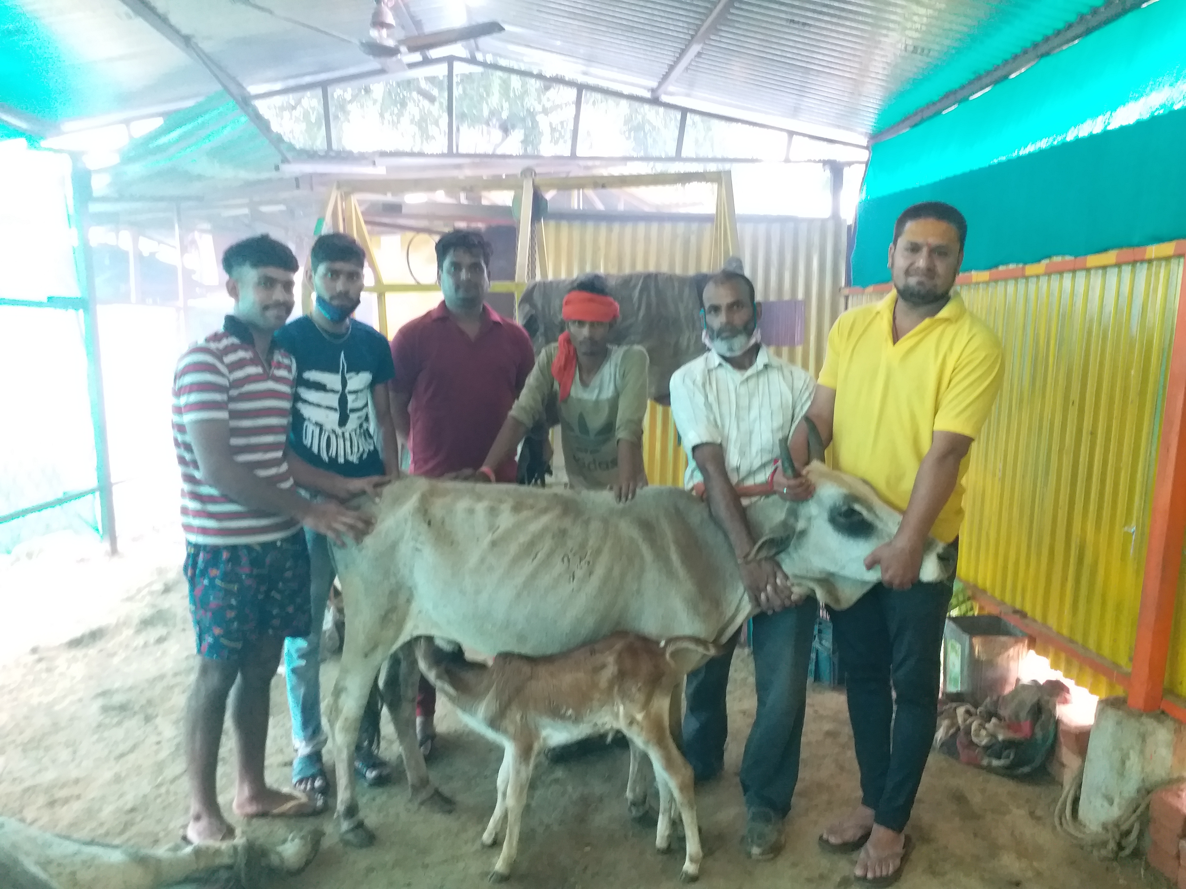 Atal Kamdhenu Gau Sewa Sansthan