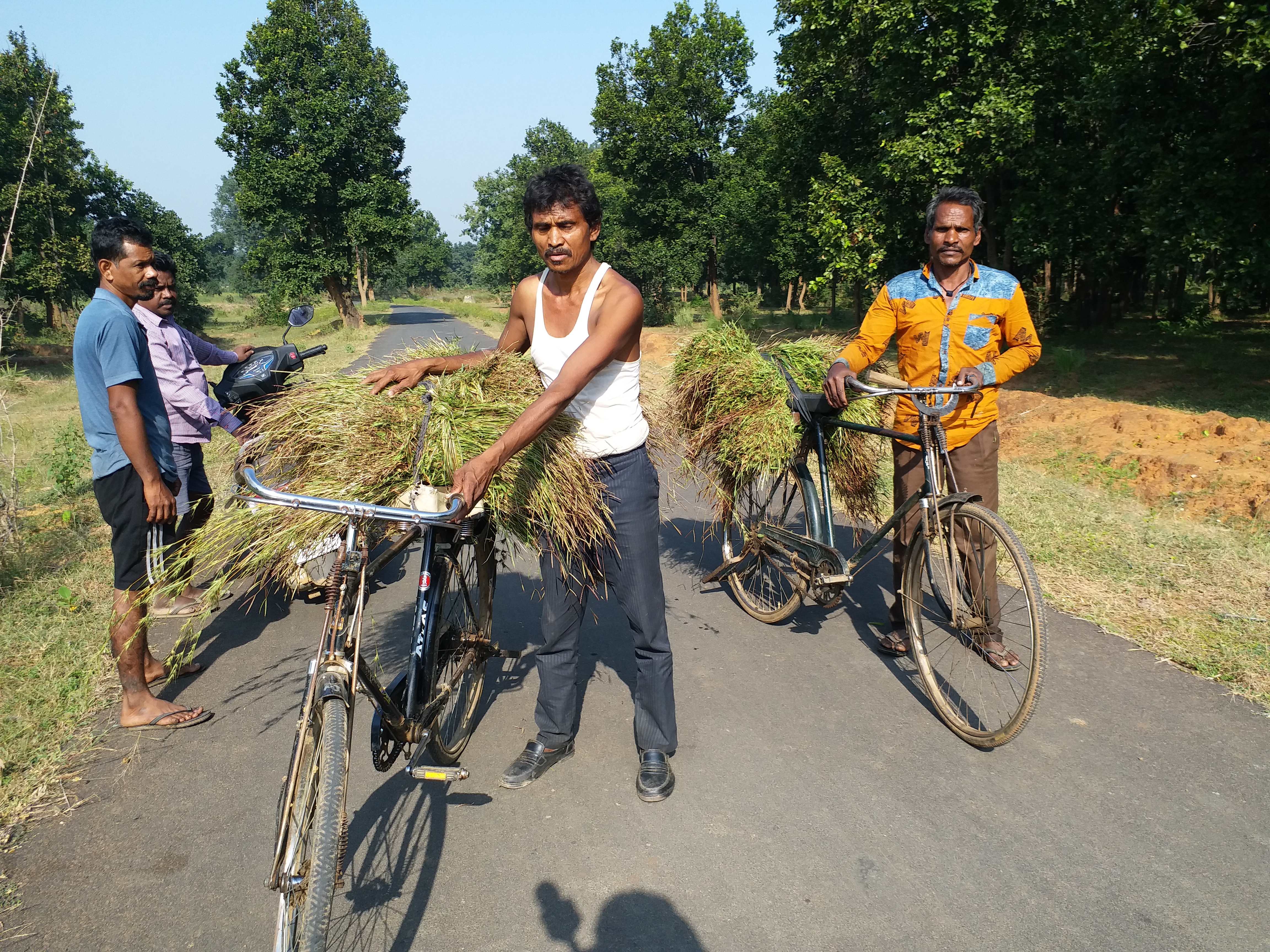 साइकिल चलाने वालों की संख्या बढ़ी