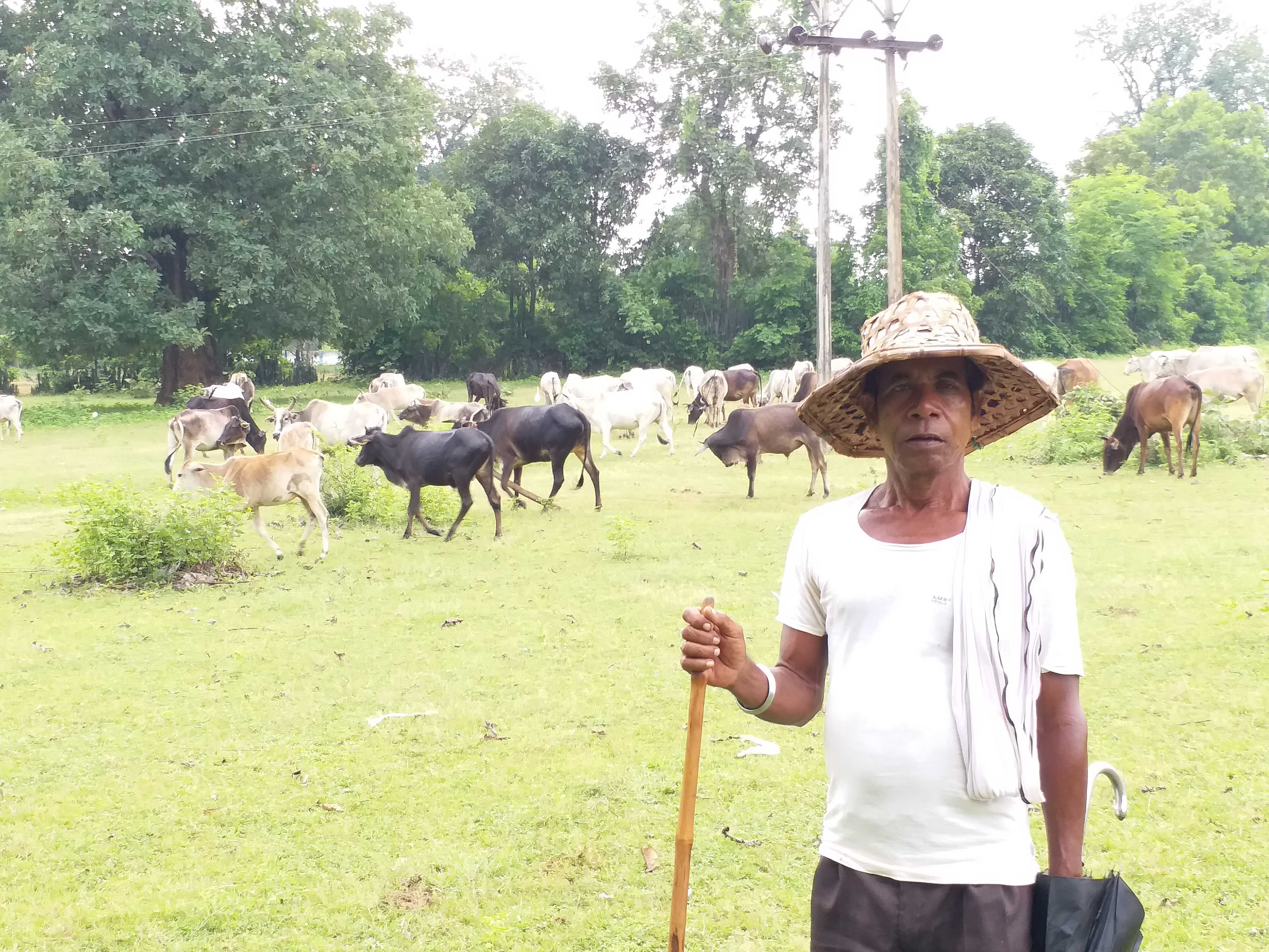 tractors and other machines are being used