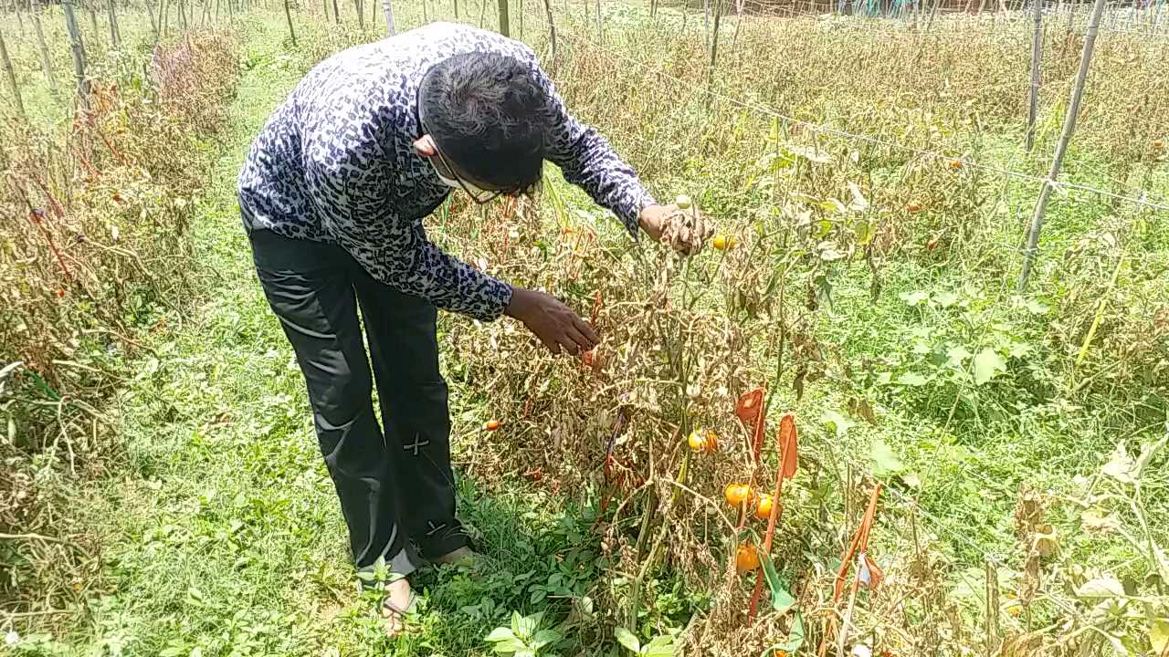 changing weather increased the concern of farmers