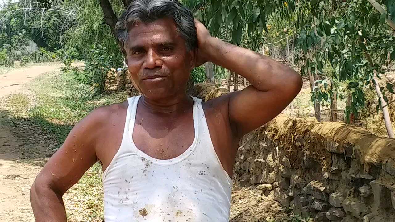 Farmers in panic over Corona in shahdol