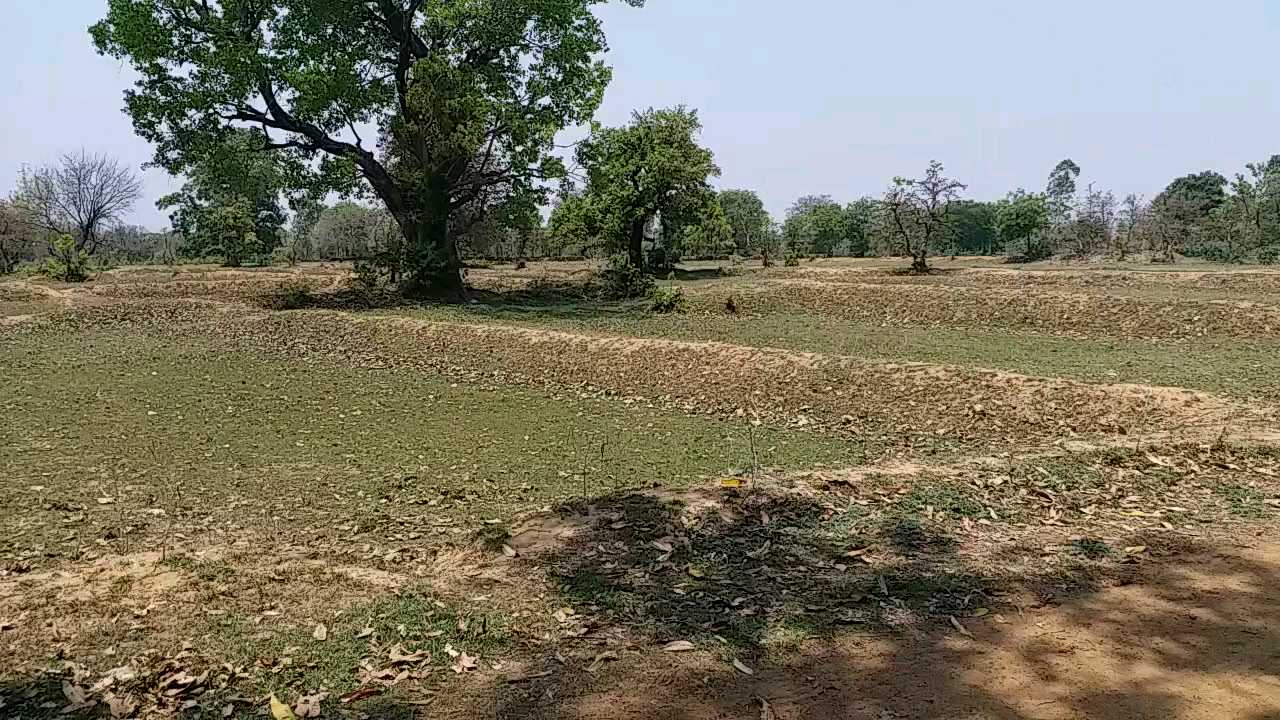 Farmers in panic over Corona in shahdol