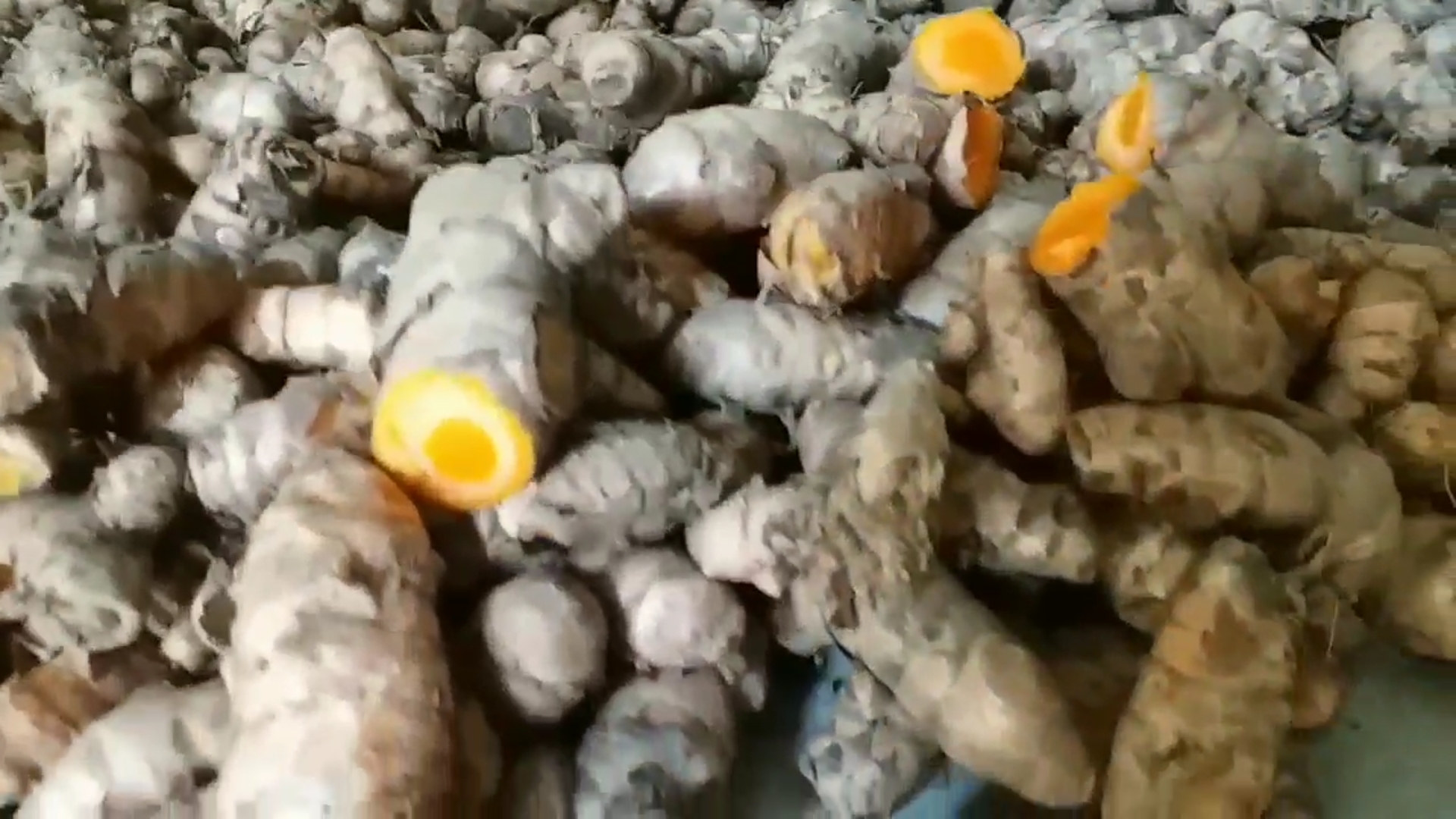 turmeric