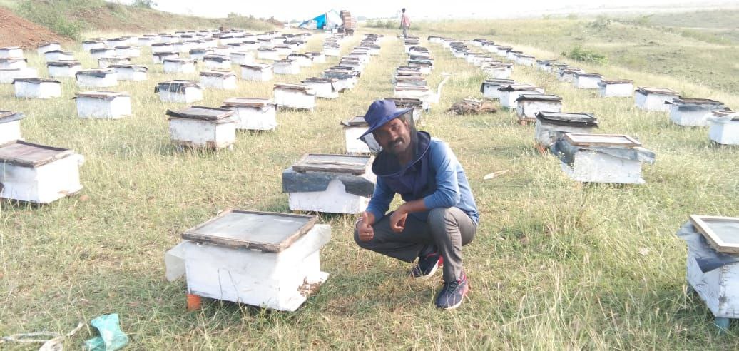 shahdol honey bee farming