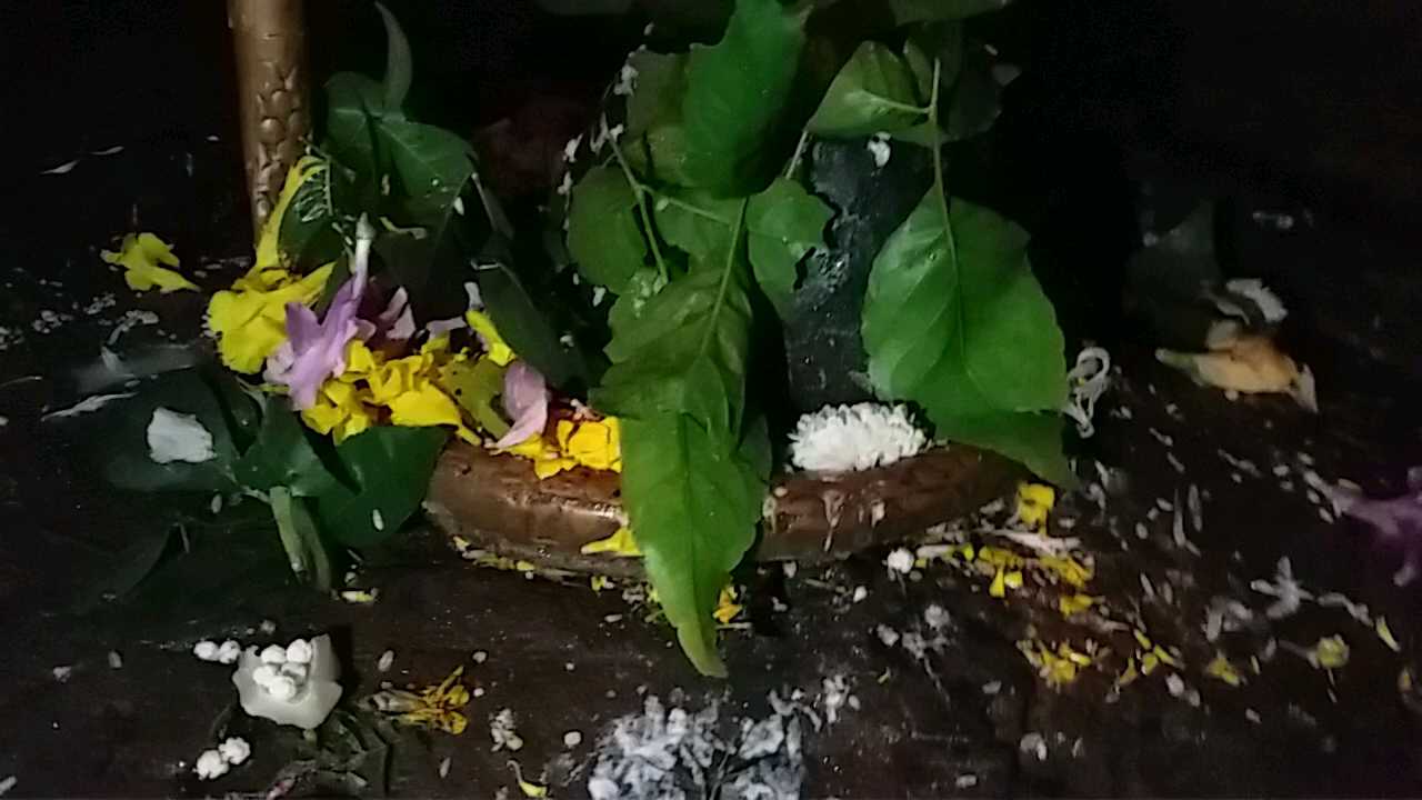 Small Shivling installed in the sanctum sanctorum