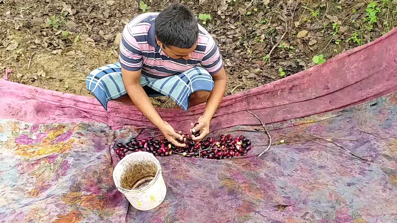 Business down of small traders