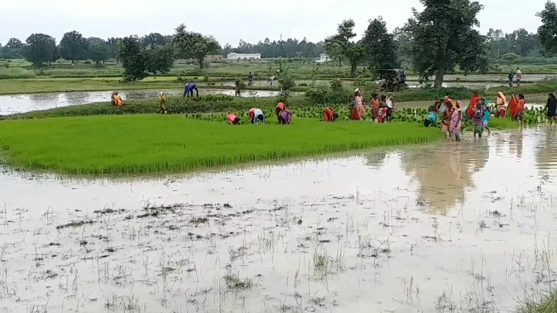 Farmers waiting for rain