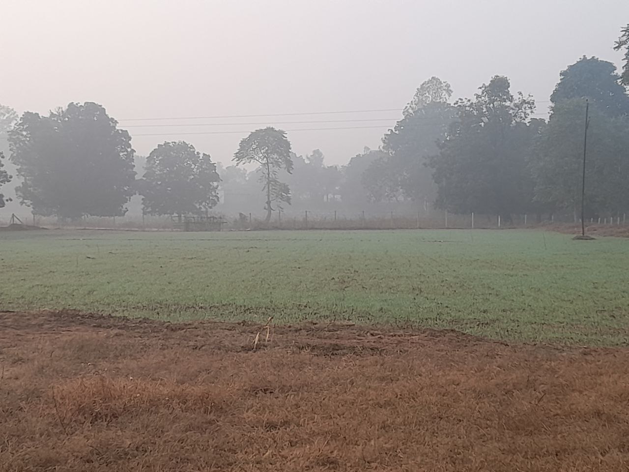 Shahdol weather changed