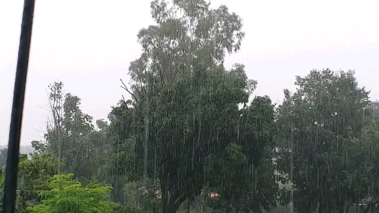 Rain continues in Shahdol