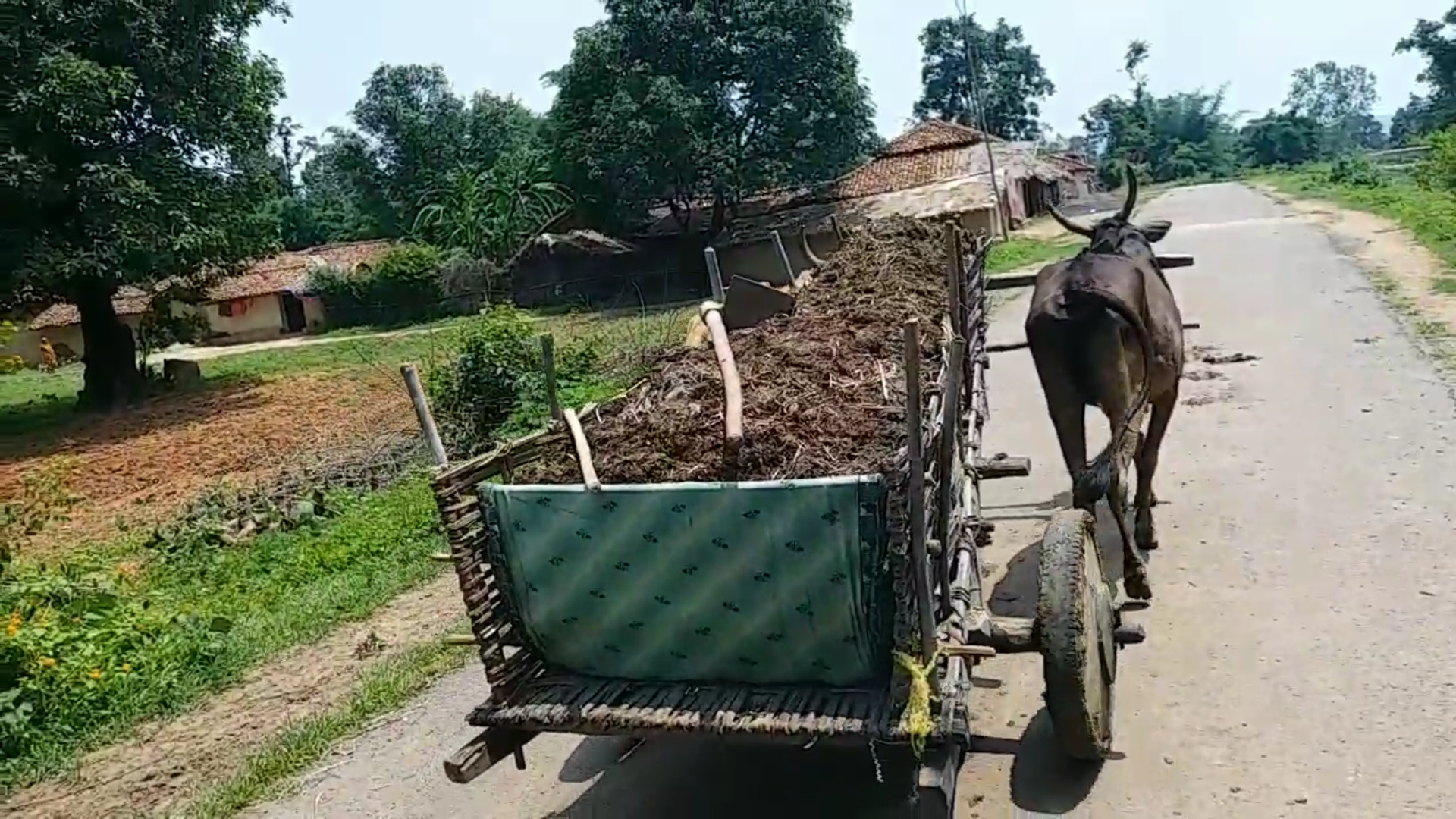 होगी बंपर पैदावार