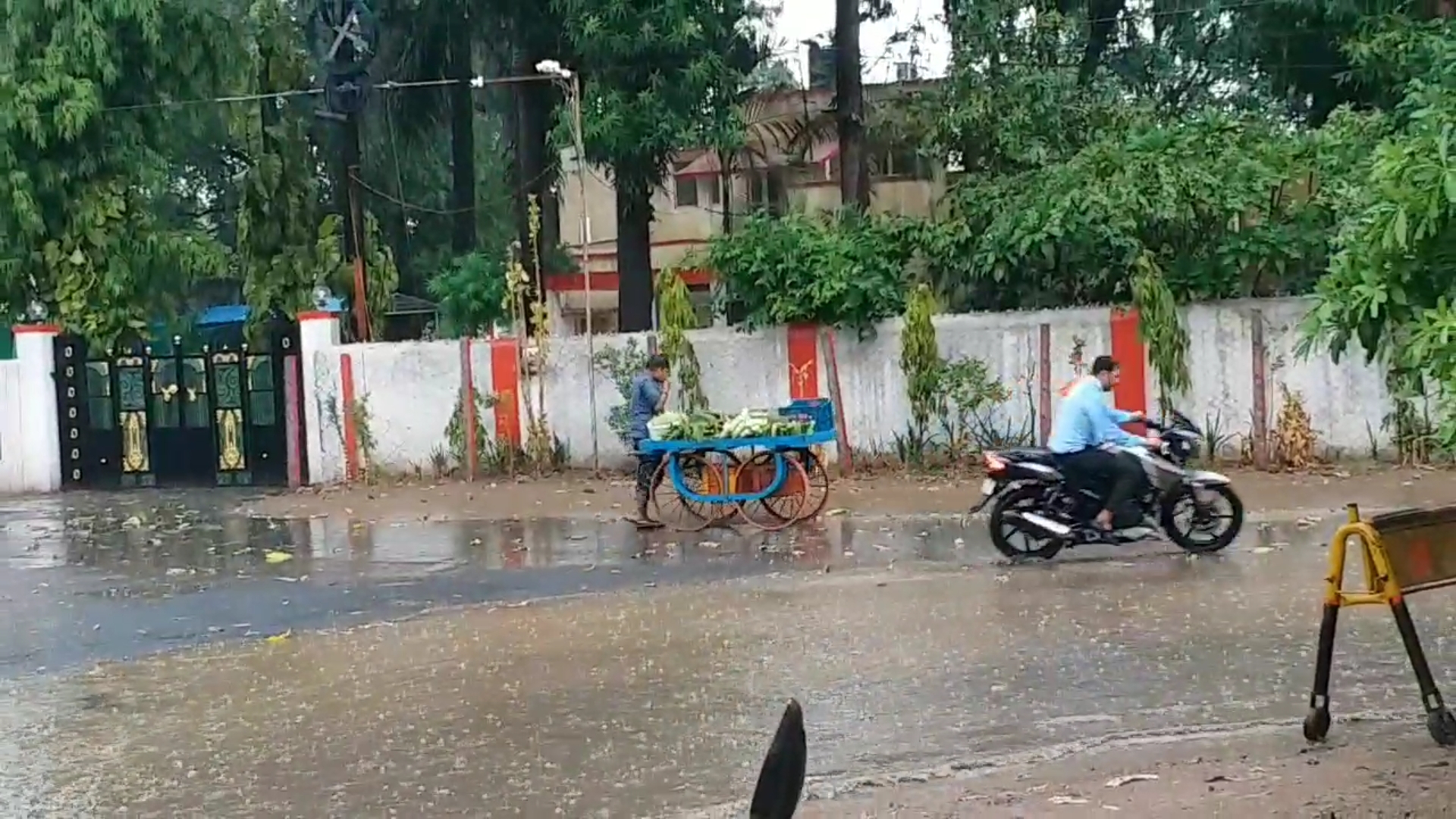 Heavy rain in many districts of Madhya Pradesh