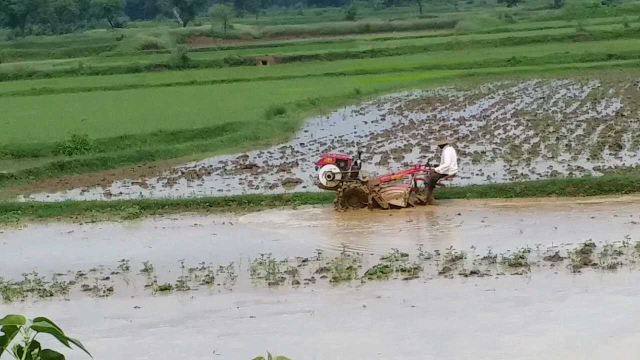 Rabi crop sowing