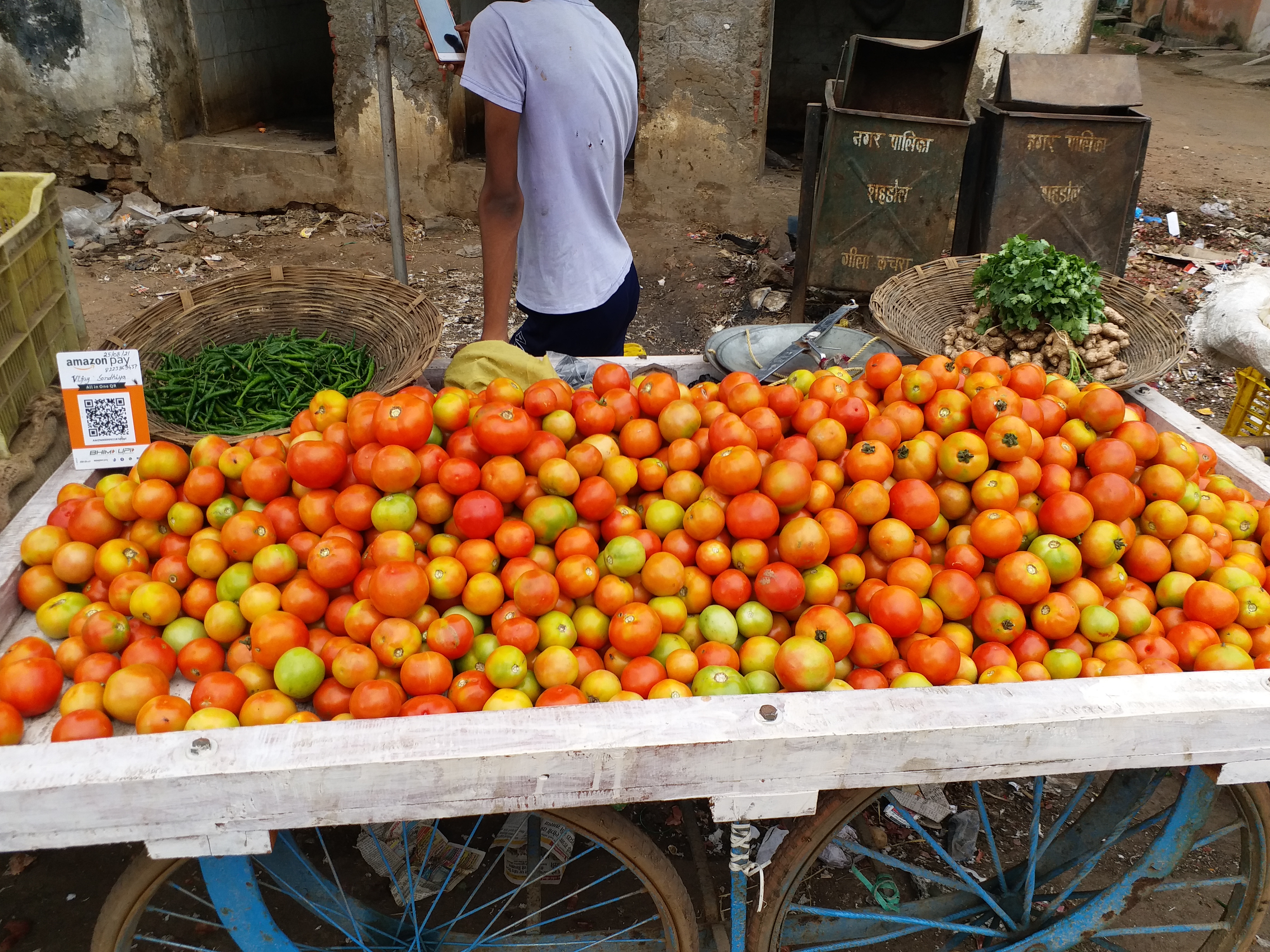 Shahdol Tomato growers