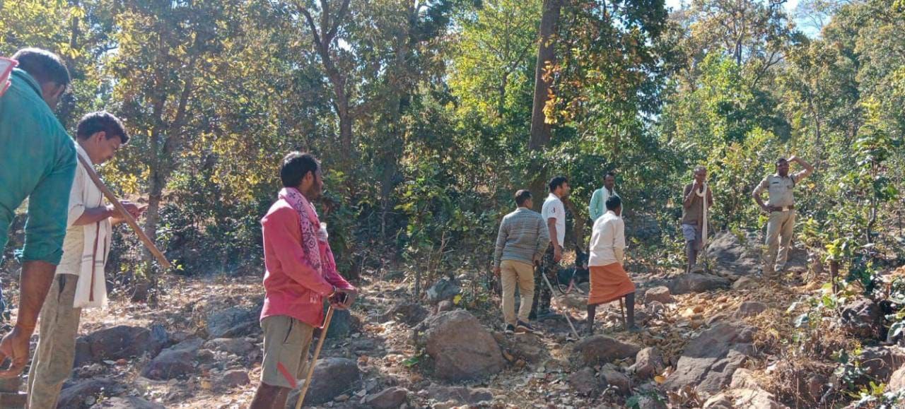 tiger movement in shahdol