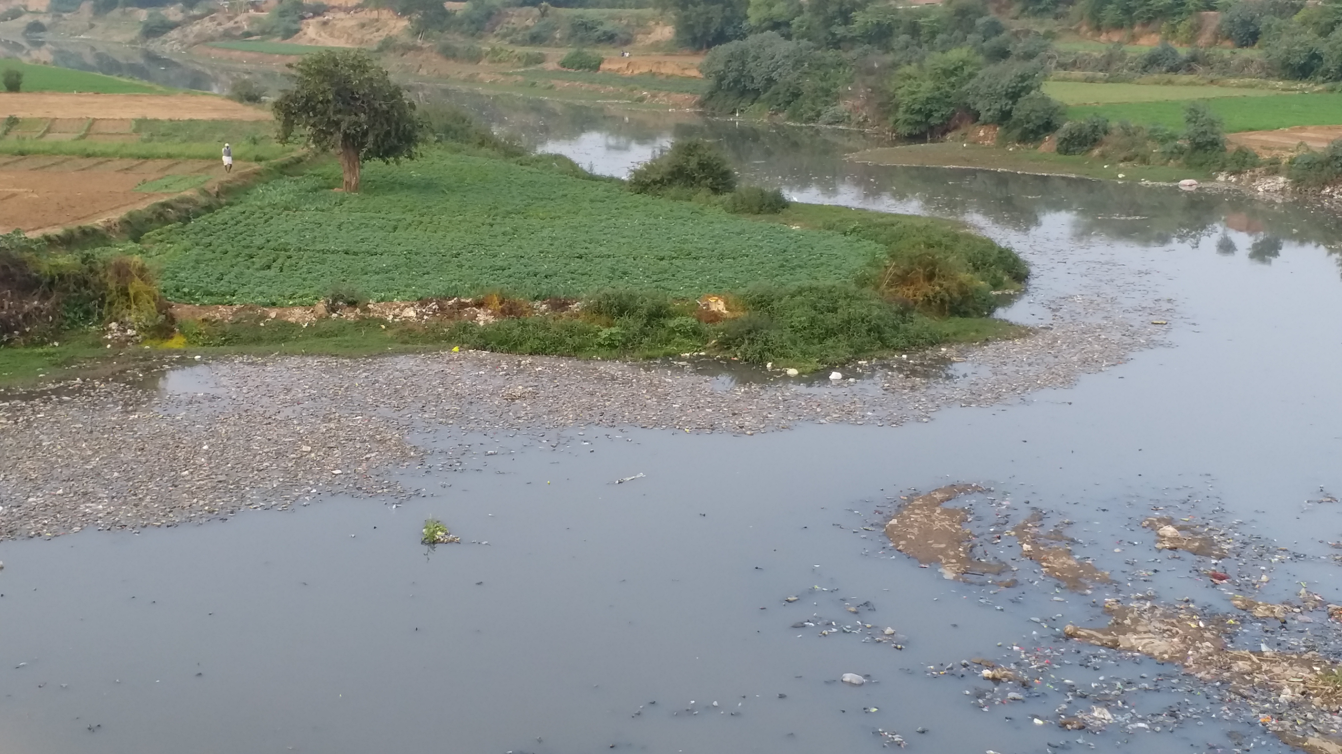 Polluted seep river