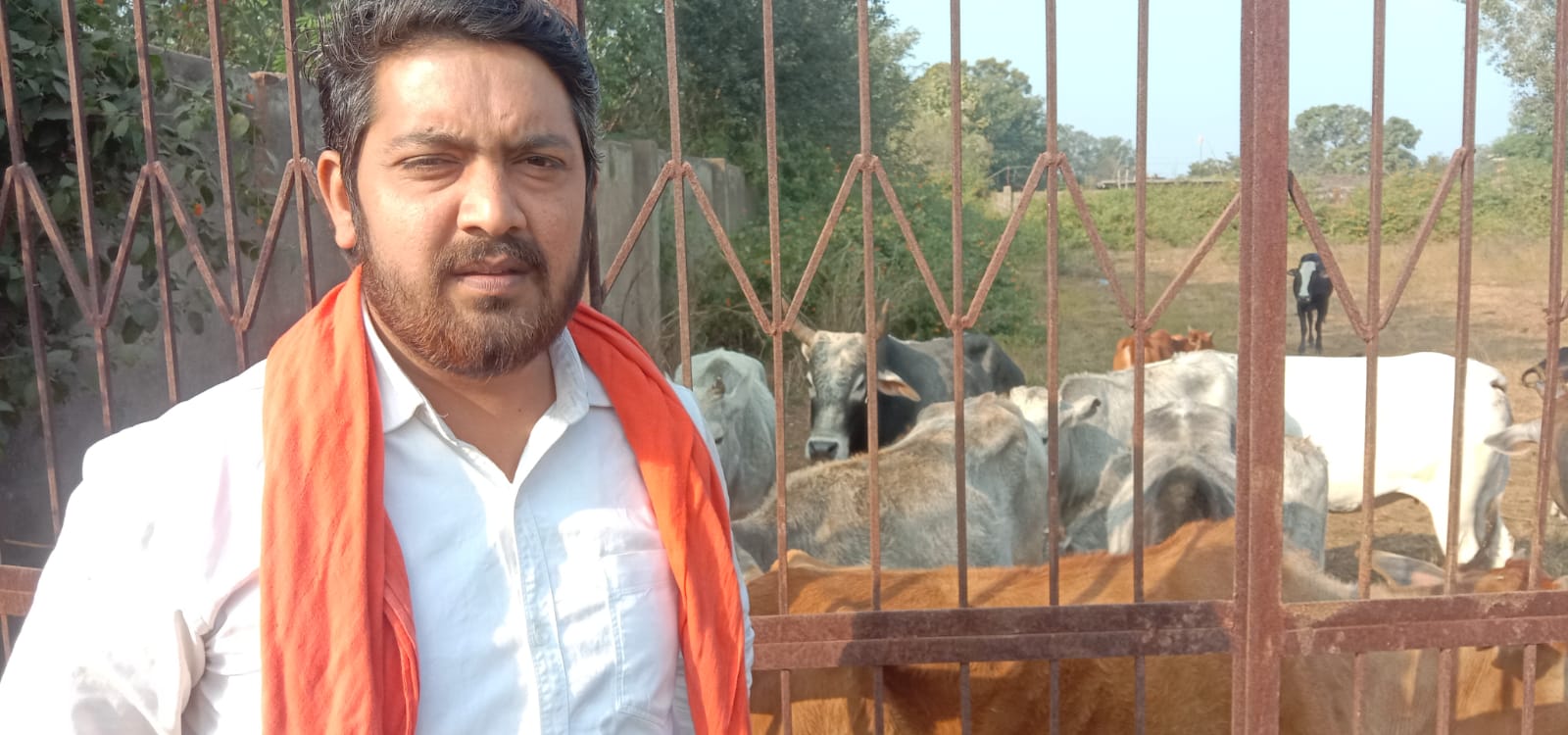 freed hungry cow from shed in sidhi