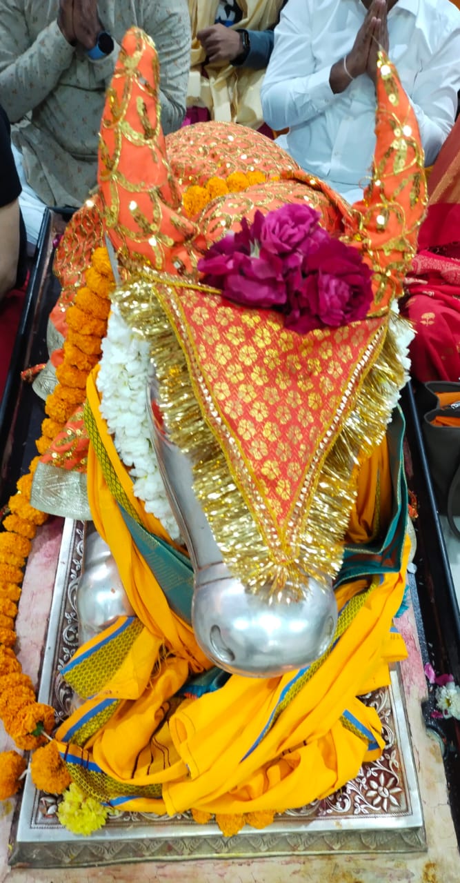 Darshan of Nandi Maharaj