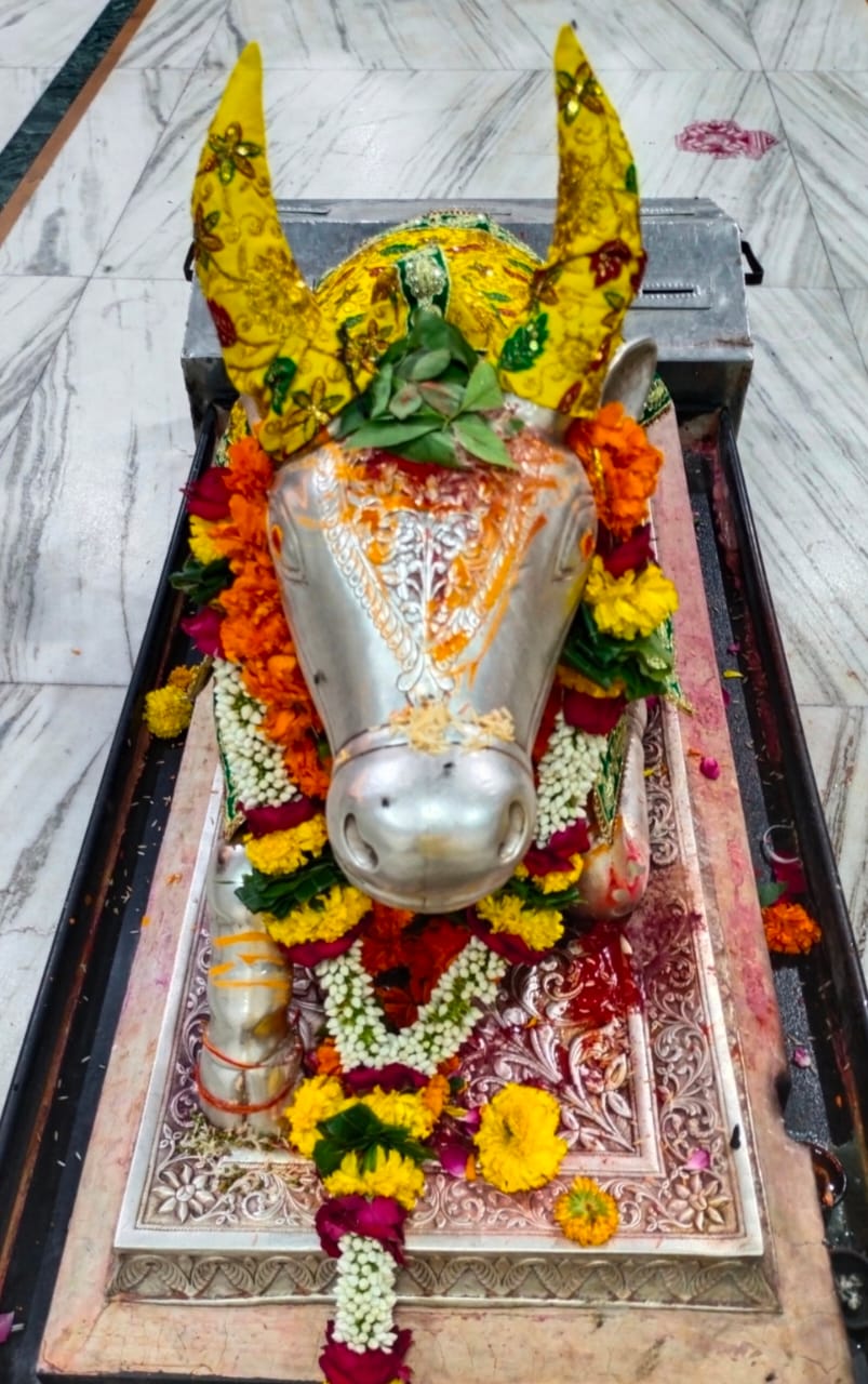 Baba Mahakal Bhasm Arti