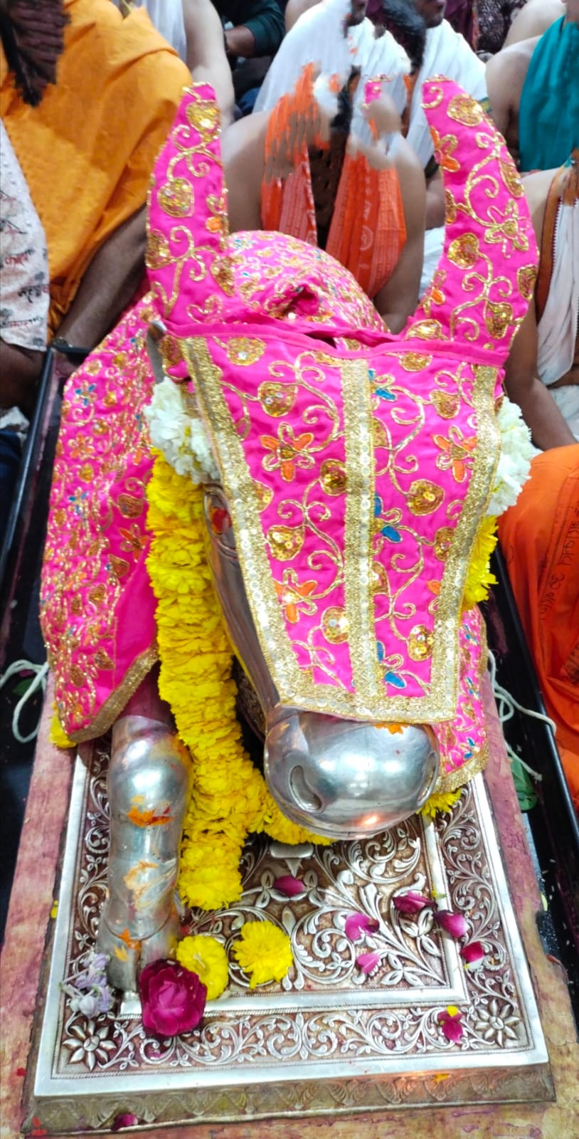 Darshan of Nandi Maharaj