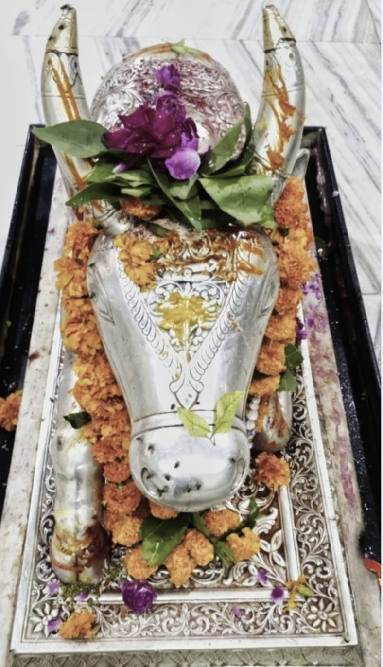 Darshan of Nandi Maharaj