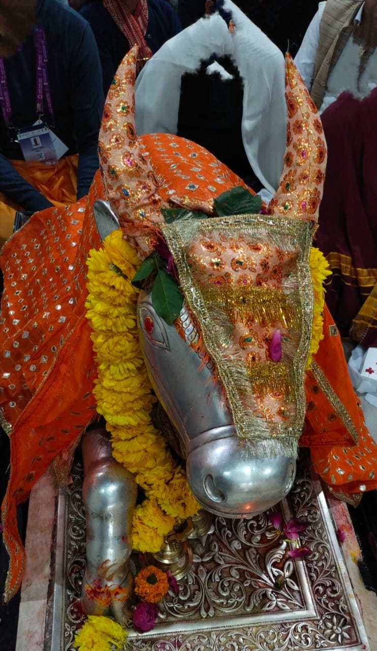 Darshan of Nandi Maharaj