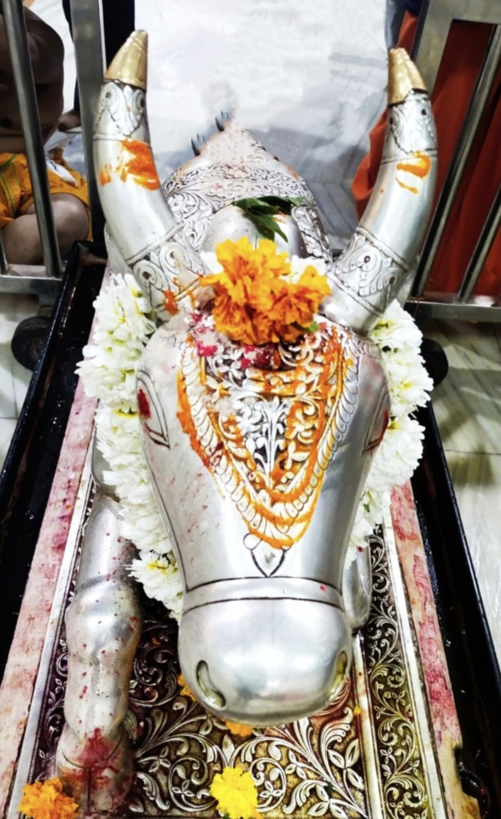 Darshan of Nandi Maharaj