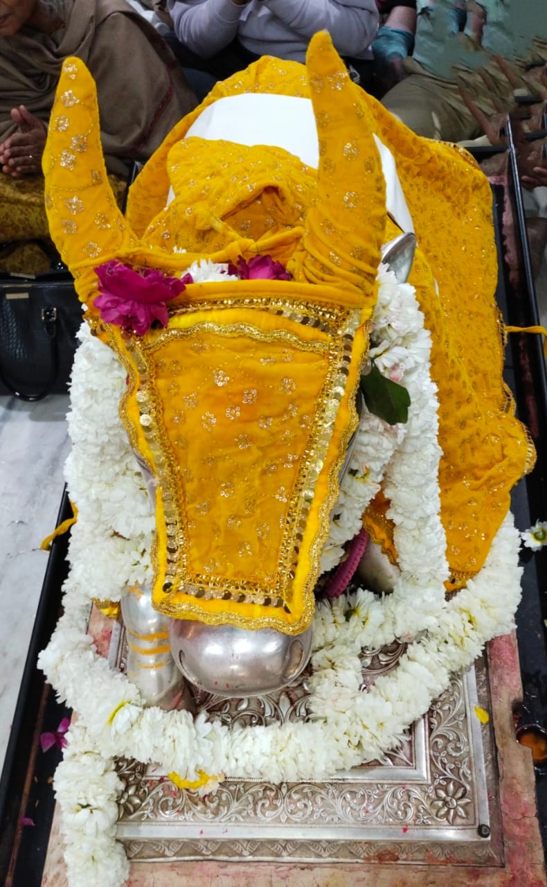 Darshan of Nandi Maharaj