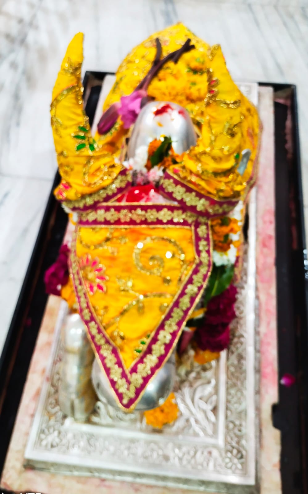 Darshan of Nandi Maharaj