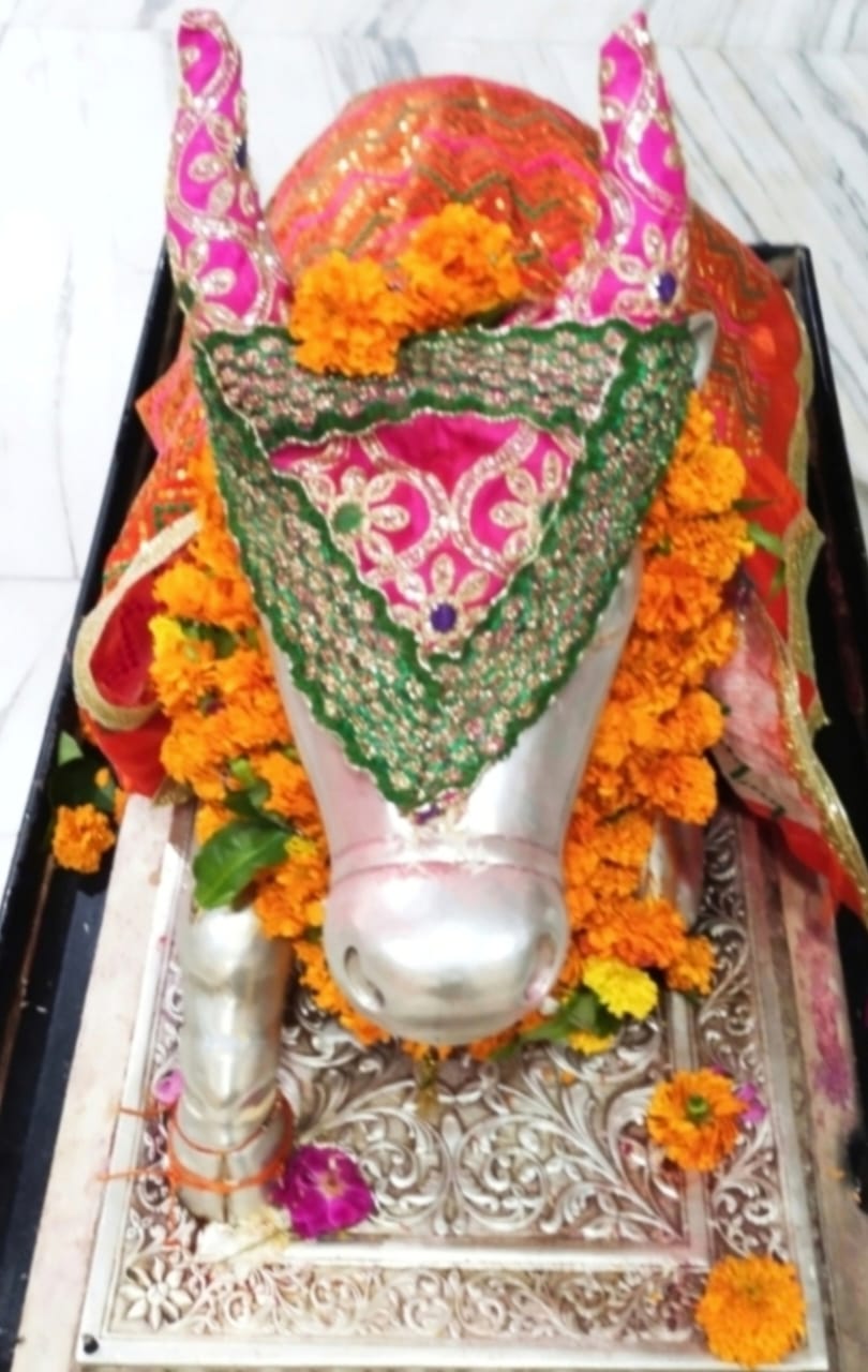 Darshan of Nandi Maharaj