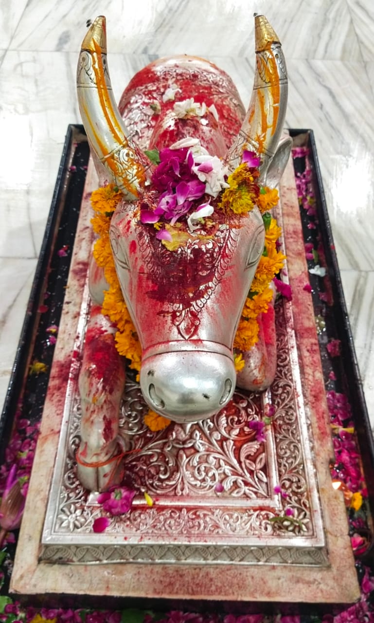 Mahakal Bhasma Aarti