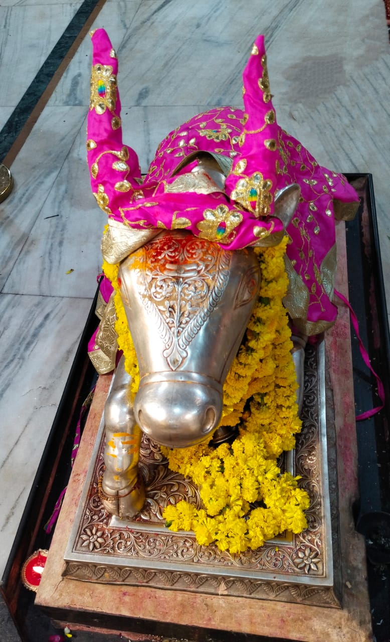 darshan of Nandi Maharaj