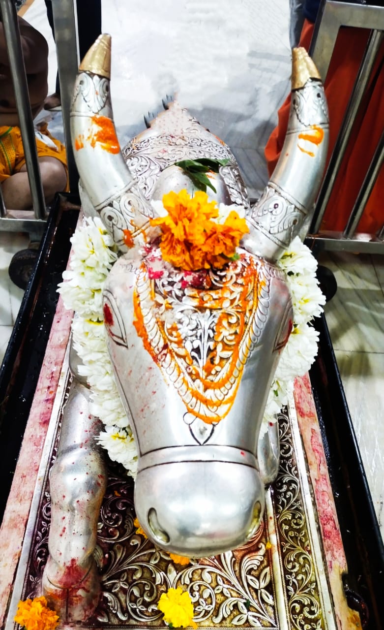 Darshan of Nandi Maharaj