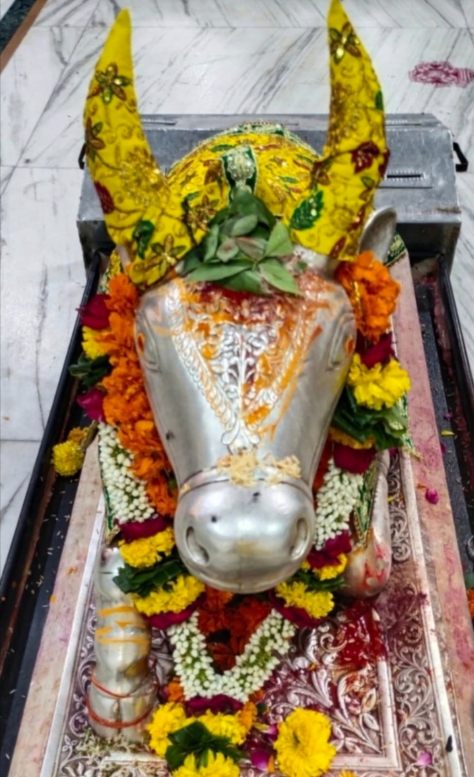 Darshan of Nandi Maharaj