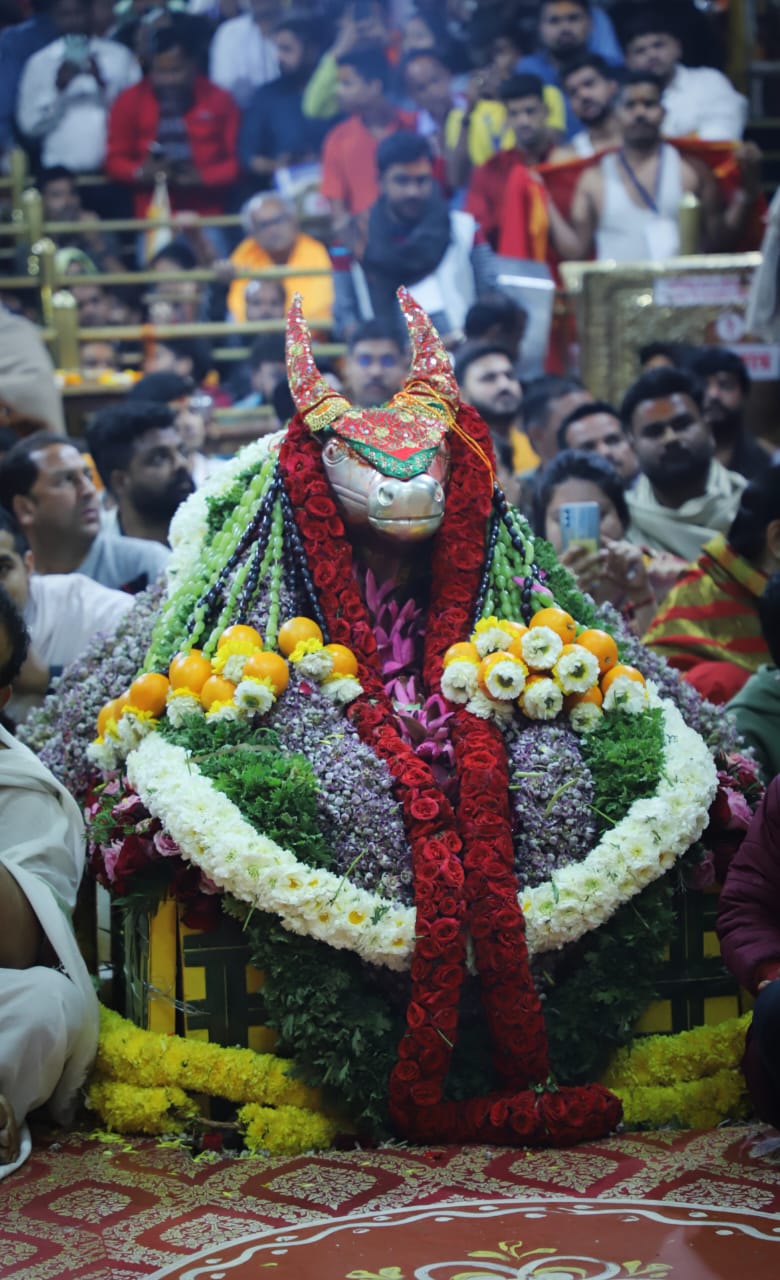 Nandi Maharaj decorated with flowers