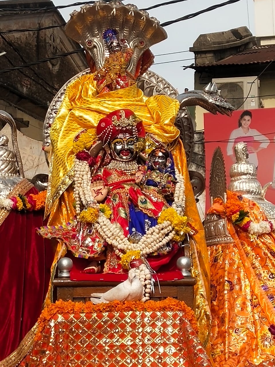 पूरे समय शिव-पार्वती स्वरूप के सामने बैठा रहा एक  कबूतर