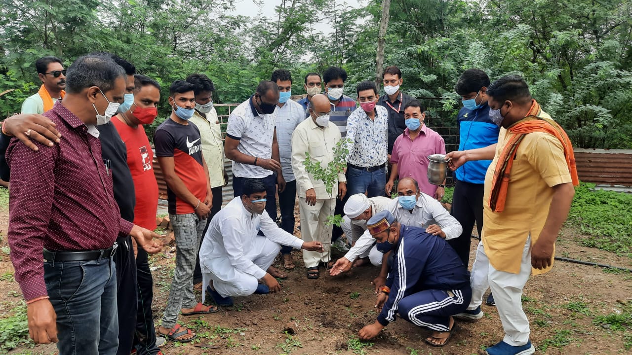 Union MinisterThawar Chand Gehlot planting saplings