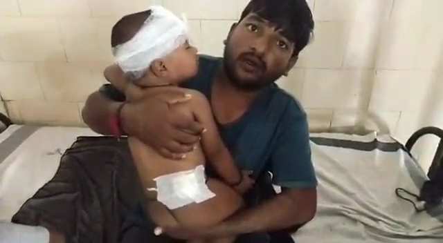 Tiger attacked 15 month child