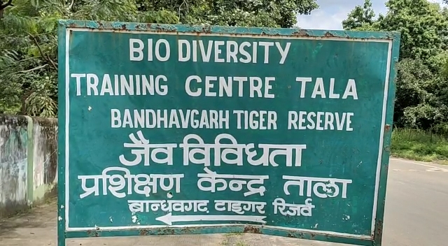 National Park Bandhavgarh