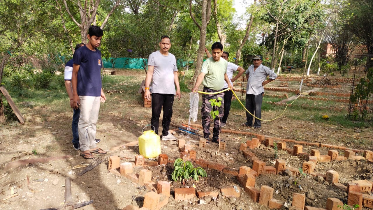 tree plantation program organized in vidisha