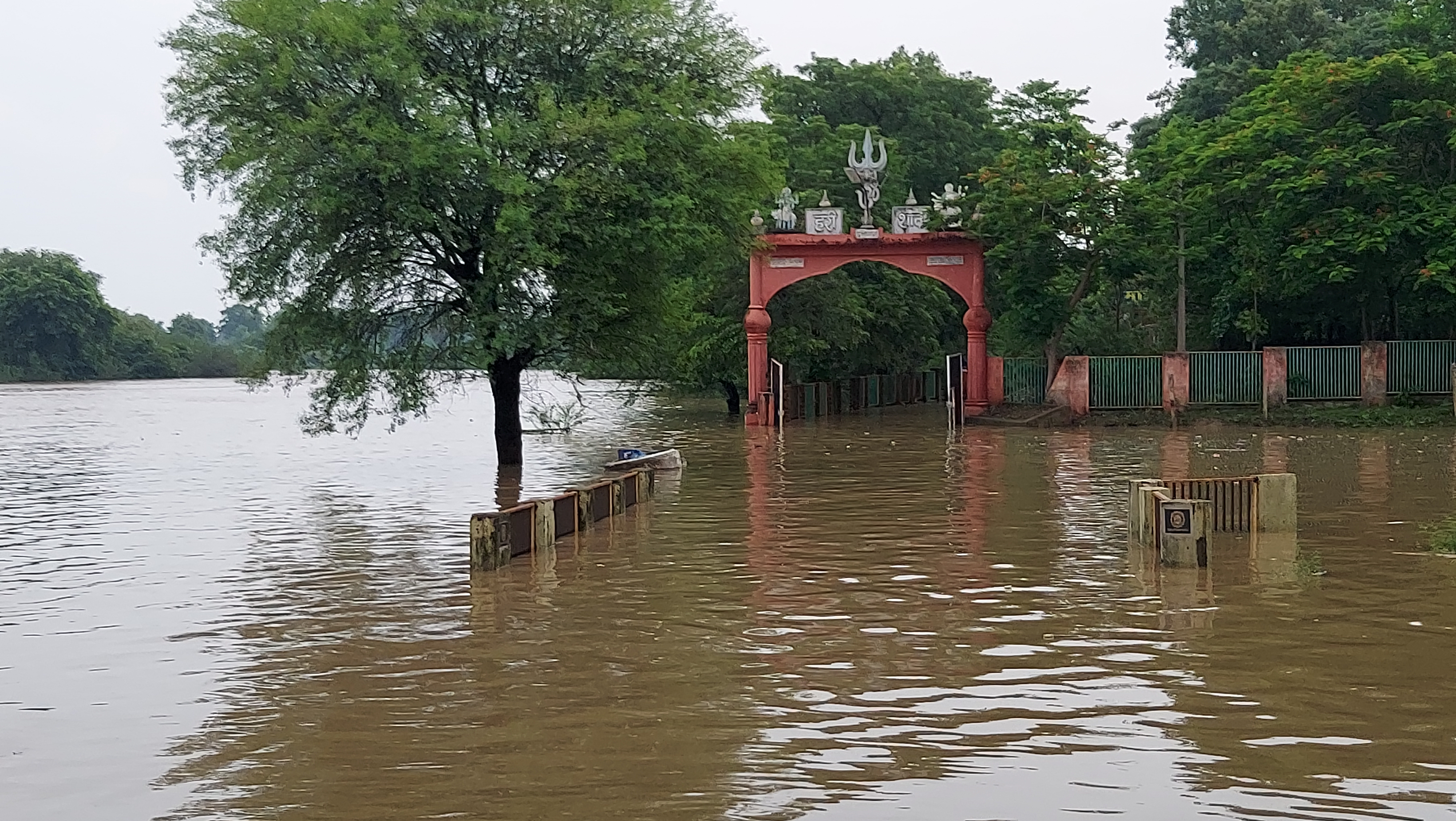 Disaster rain in many districts of Madhya Pradesh