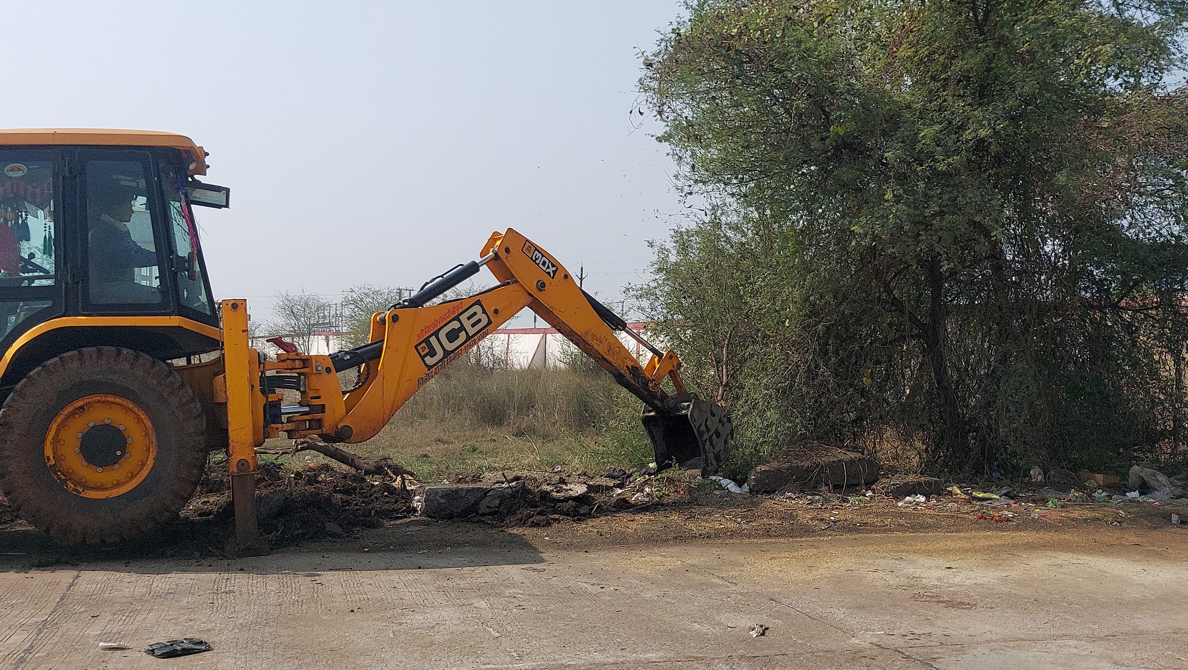 Cut trees in Vidisha mandi