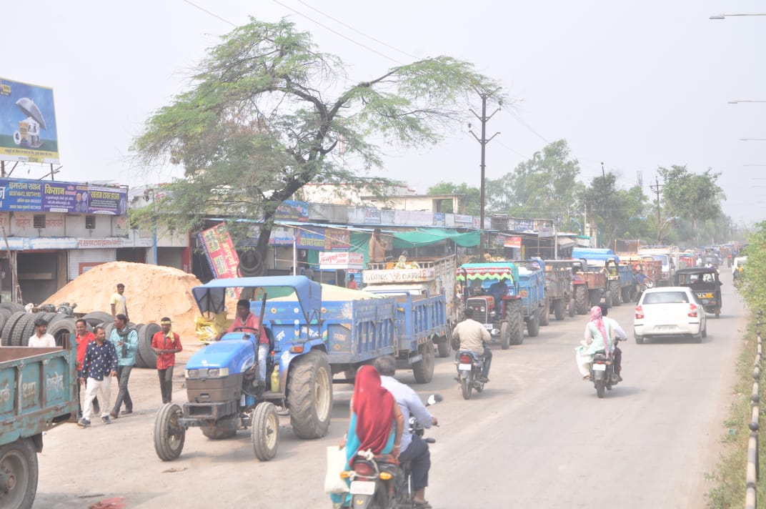 Onion bumper arrival in Ratlam market