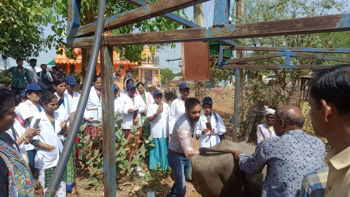 narmadapuram dairy industry get boost