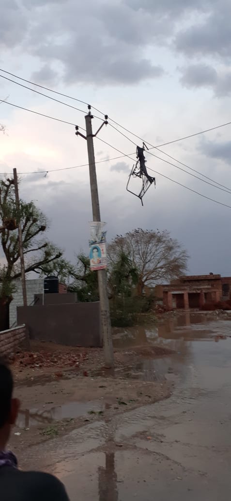 नागौर में पेड़ और खंभे उखड़े, Uprooted trees and poles in Nagaur