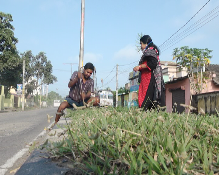 odisha Lady teachers obsession for protection of environment; She has already spent over Rs. 8 lakh of her own money on plantation of trees