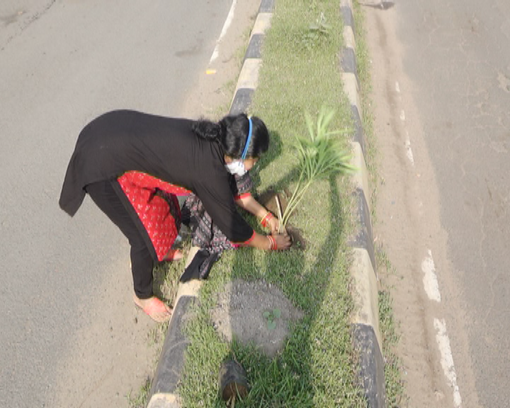 odisha Lady teachers obsession for protection of environment; She has already spent over Rs. 8 lakh of her own money on plantation of trees